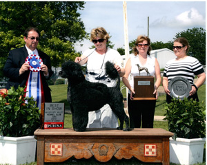 BIS Mississippi Valley KC 2010 Judge Bruce Schwartz